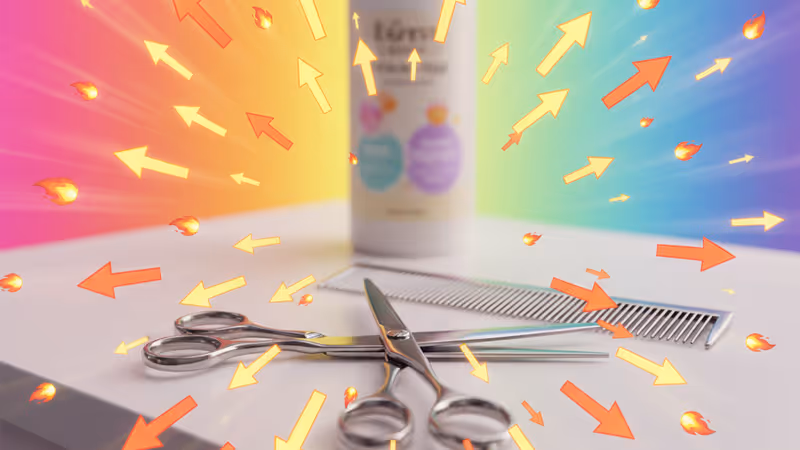 プロ仕様のペットグルーミング道具が並ぶサロンの風景