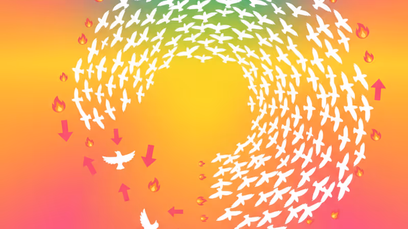 미국 내 1만 개 사이비 종교 실태와 전 멤버들이 밝힌 7가지 위험 신호