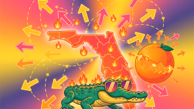 플로리다에 대한 8가지 오해: '플로리다 맨'과 악어, 진실은?