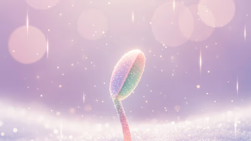 ドラマ「スプリング・フィーバー」のアン・ボヒョンとイ・ジュビンの対照的なビジュアル