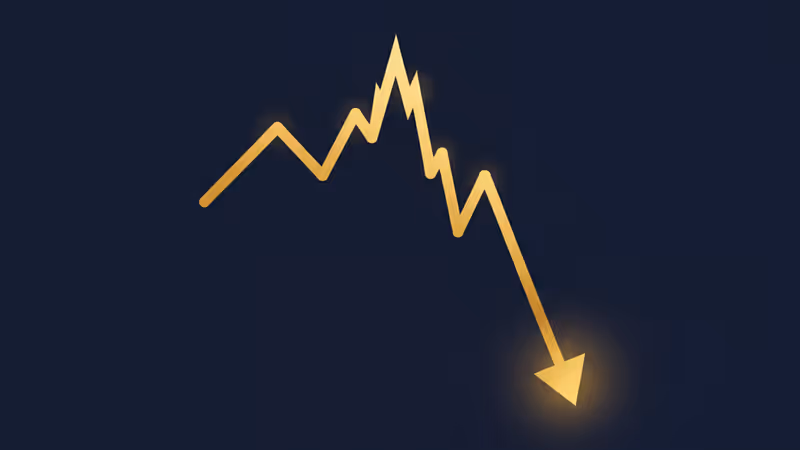 輝達財報後的震盪：AI狂熱觸頂，還是黃金買入點？
