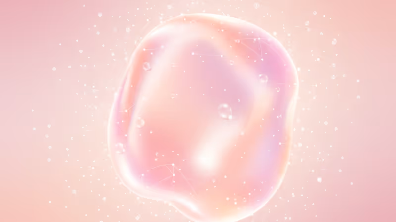 《鄰家英雄》粉絲評分：洞察K-Drama全球化下的數據價值與社群力量