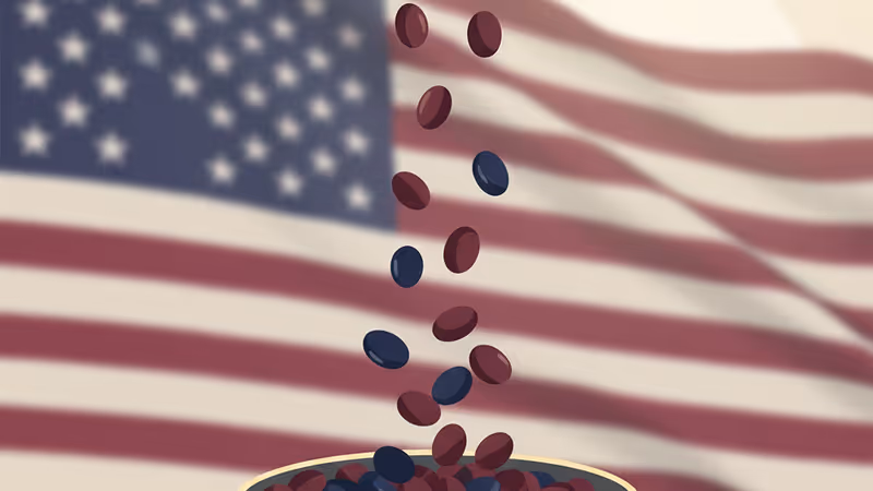 Close-up of soybeans during harvest on a US farm
