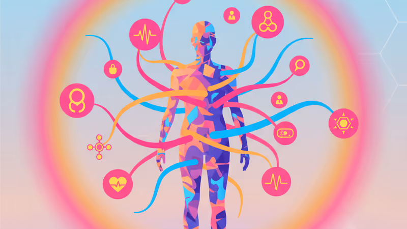 남성의 신체 구조와 호르몬 흐름을 시각화한 그래픽 이미지