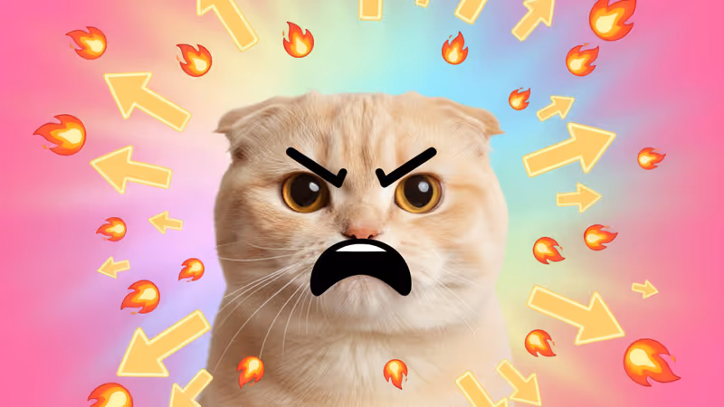 37억 건의 검색을 뚫고 등장한 인스타그램 고양이 아틀라스 표정의 비밀