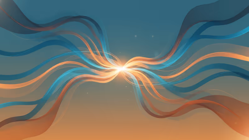 호텔에서 가장 많이 사라지는 물건들의 경제학