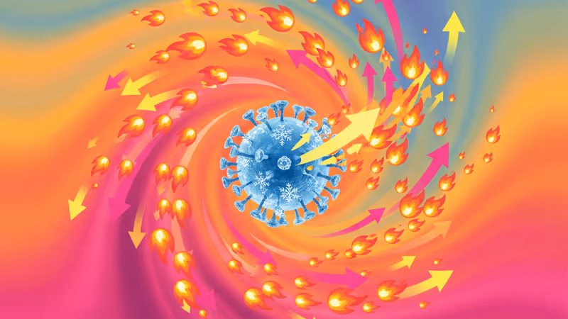 寒冷な環境で安定化するウイルス粒子の顕微鏡イメージ