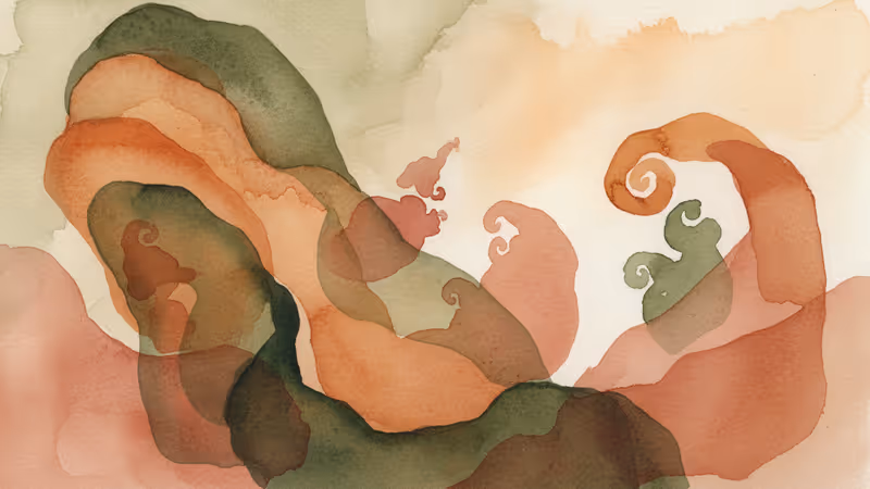 반려견 의료비로 파산하는 미국인들